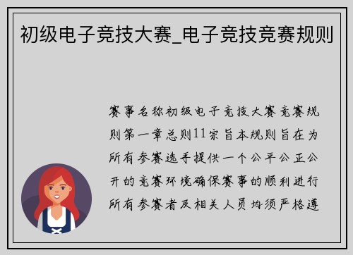 初级电子竞技大赛_电子竞技竞赛规则